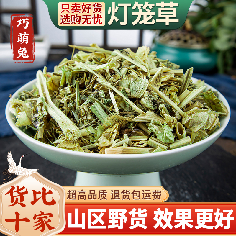灯笼草包邮野生灯笼草中药材500g断血流鬼灯笼苦锦灯笼姑娘果草药