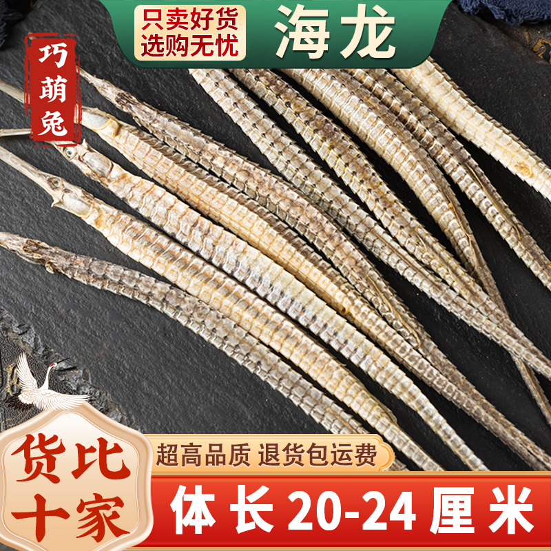 海龙干货8条海龙中药材正品大海龙海龙公母新货六角海龙干泡酒