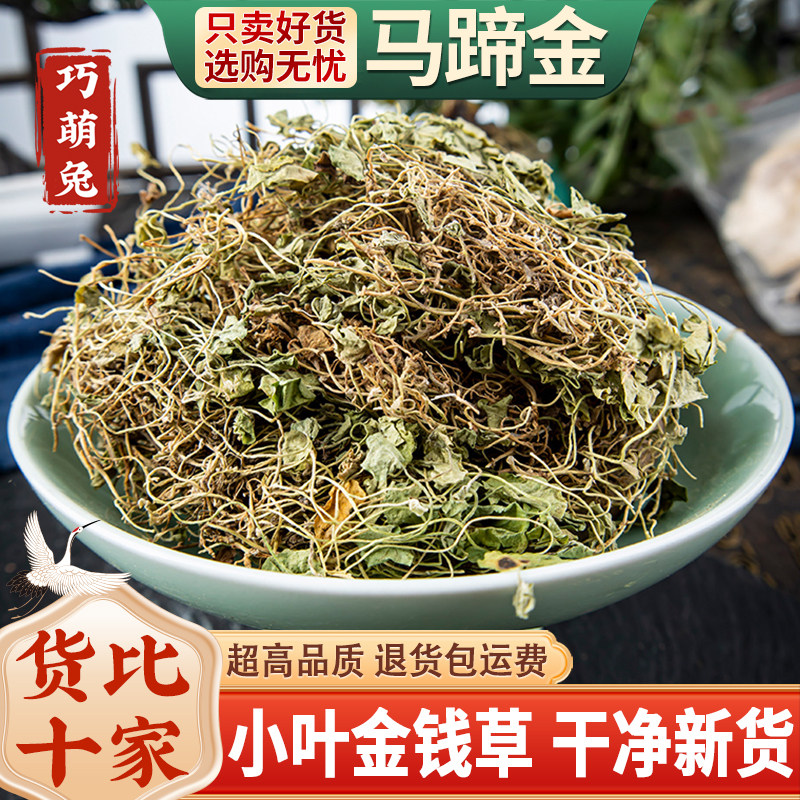 马蹄金中药材小金钱草500克新货无硫荷包草野生螺丕草正品黄胆草