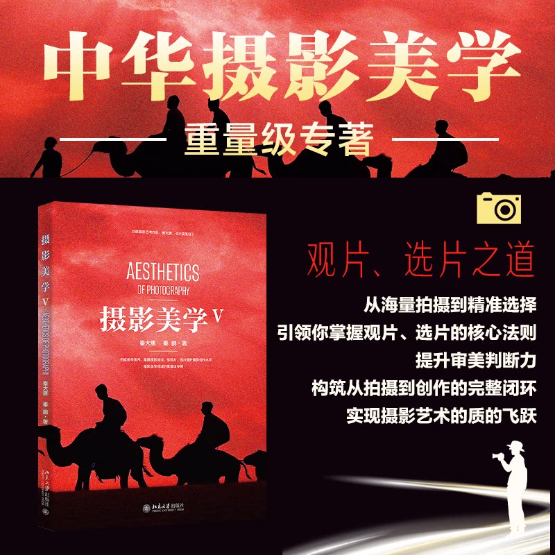 摄影美学V 构图法则 色彩搭配 光影控制 经典案例 全彩印刷 提升审美 创意灵感 大师作品 实战教程9787301366745