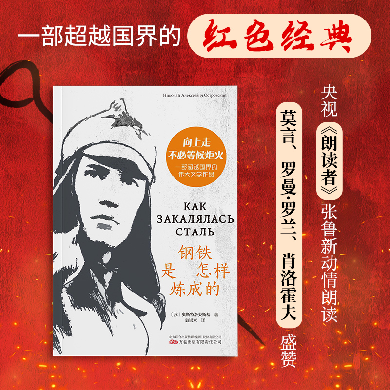 正版包邮 钢铁是怎样炼成的（语文教材“”经典·八年级,精美插图+详细注释+阅读方法+知识考点,俄语教