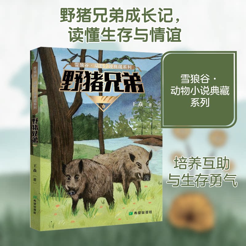 野猪兄弟 野猪兄弟故事 儿童冒险绘本 子读书籍 动物主角故事 成长励志故事 精美插画彩图 小学生课外读物 9787537985345