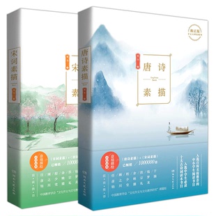 包邮 9787540491970 唐诗素描 曾冬 湖南文艺 宋词素描共2册 正版