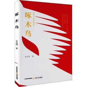啄木鸟 官场小说爱好者 权力斗争兄弟情抉择 人挣扎官场深水区 知名作者刻画 ISBN9787537864138