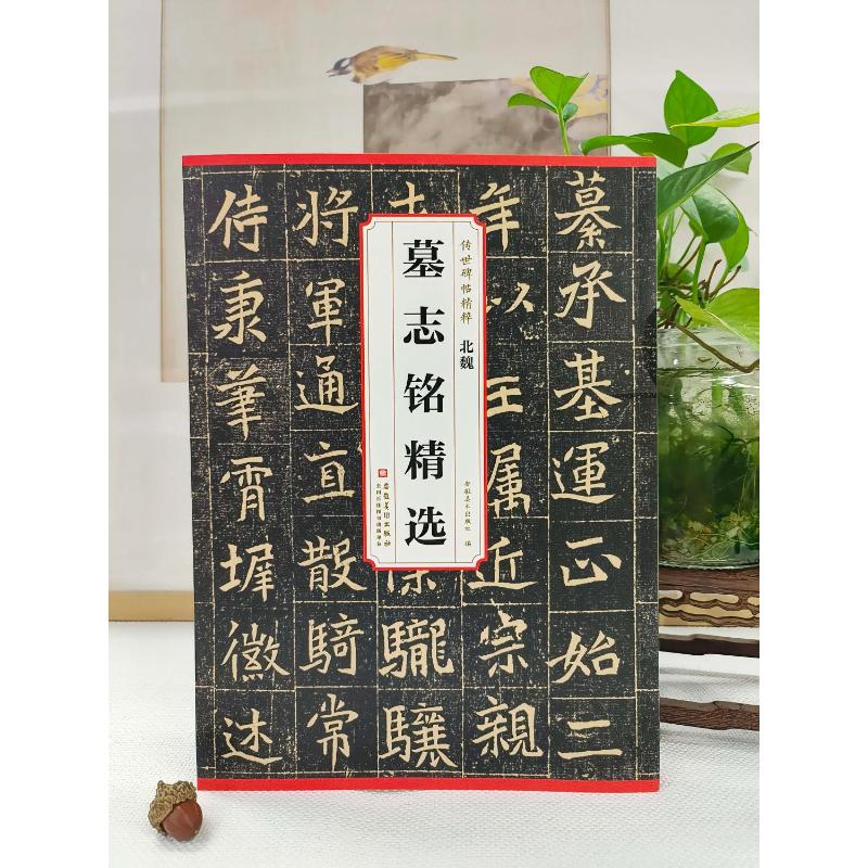 正版包邮 北魏 墓志铭精选 刘园 著 9787574509016 安徽美术出版社
