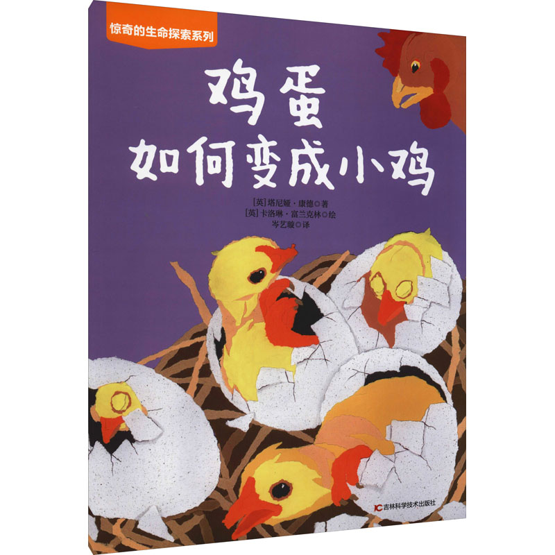 鸡蛋如何变成小鸡 鸡蛋变小鸡科学原理 儿童科普读物 子读指南 趣味生命教育 小鸡孵化步骤 全彩插图详解 9787557880880