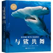 与鲨共舞 奈杰尔·马什 揭秘鲨鱼 观鲨指南 澳 张辰亮 英 安迪·默奇 认识不可思议 博物君 PADI 包邮 正版