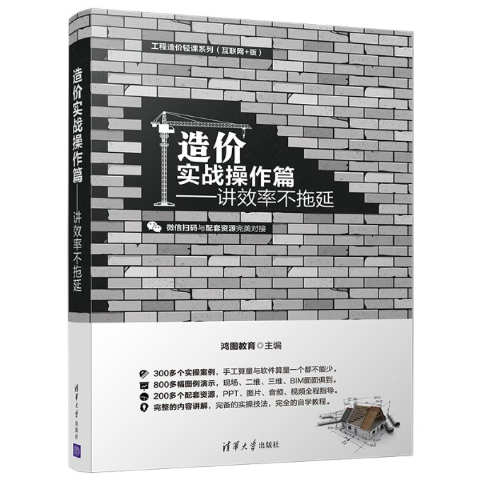 造价实战操作篇：讲效率 不拖延 造价实战教程 效率提升技巧 实操方法详解 不拖延指南 预算编制案例 新手入门 9787302501572
