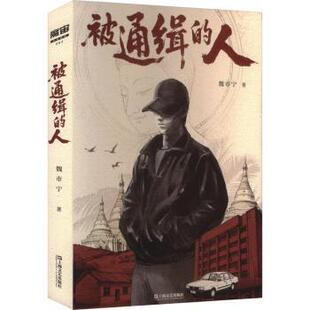 正版包邮 被通缉的人 魏市宁著 9787532193257 上海文艺出版社