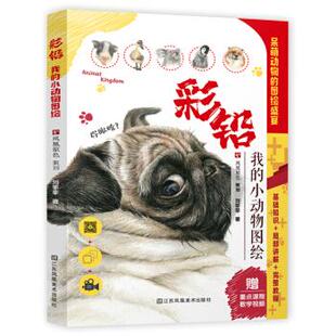 包邮 江苏凤凰美术出版 彩铅 9787558076596 社 刘菲菲著 正版