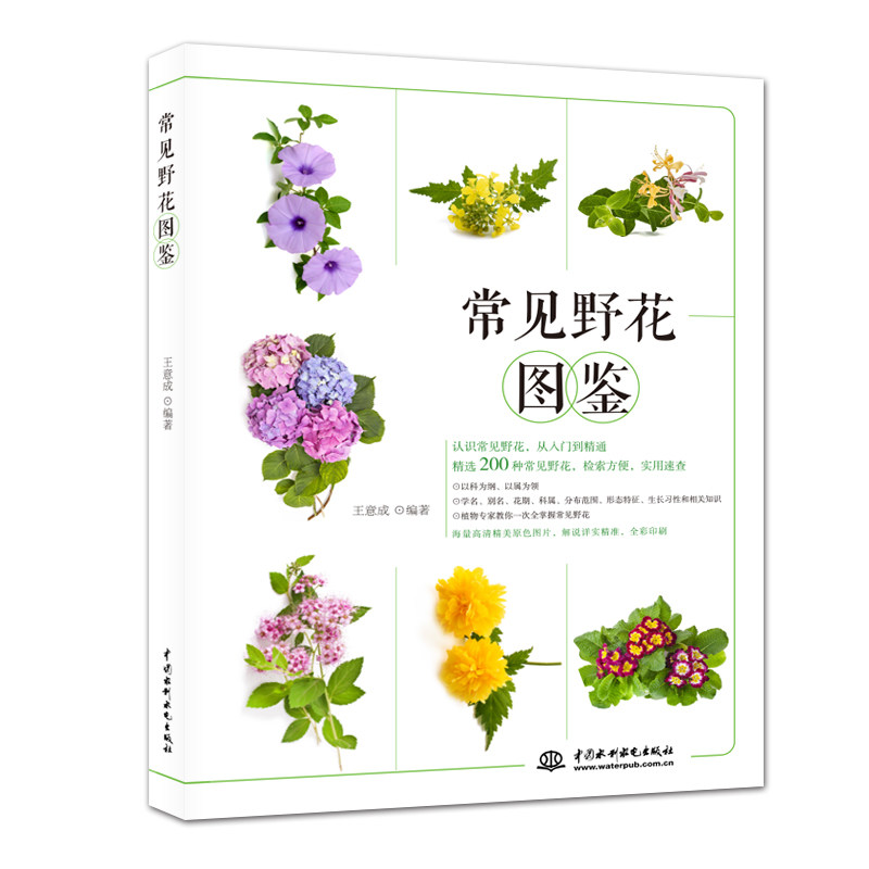 常见野花图鉴 常见野花识别 高清图鉴解析 户外植物百科 自然观察指南 图文并茂 野生植物图鉴 家庭园艺参考 9787517070566