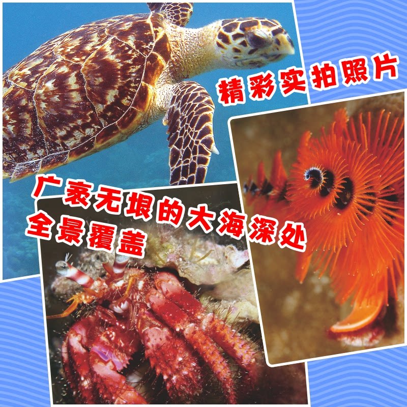 我的本海洋动物知识大全(语音伴读版) 海洋生物图鉴 趣味认知启蒙 亲子互动 全彩精美插图9787575900836