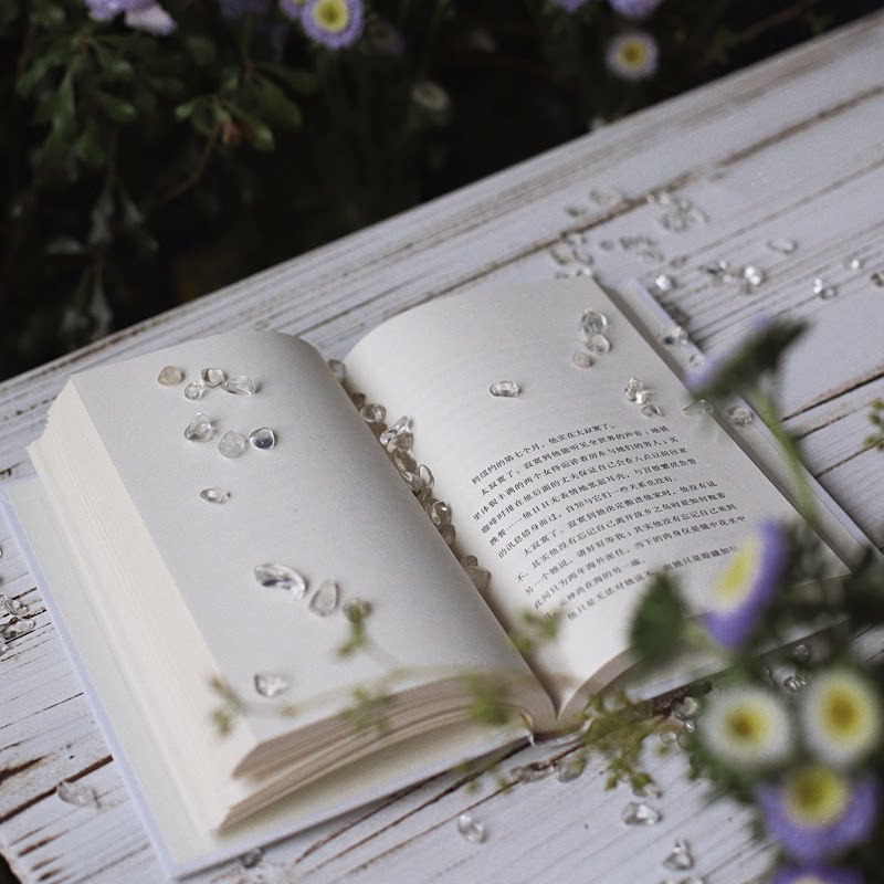 海边的房间 海边房间 治愈故事 文学散文 情感回忆 旅行随笔 心灵疗愈 诗意文字 自然风景 9787555911630