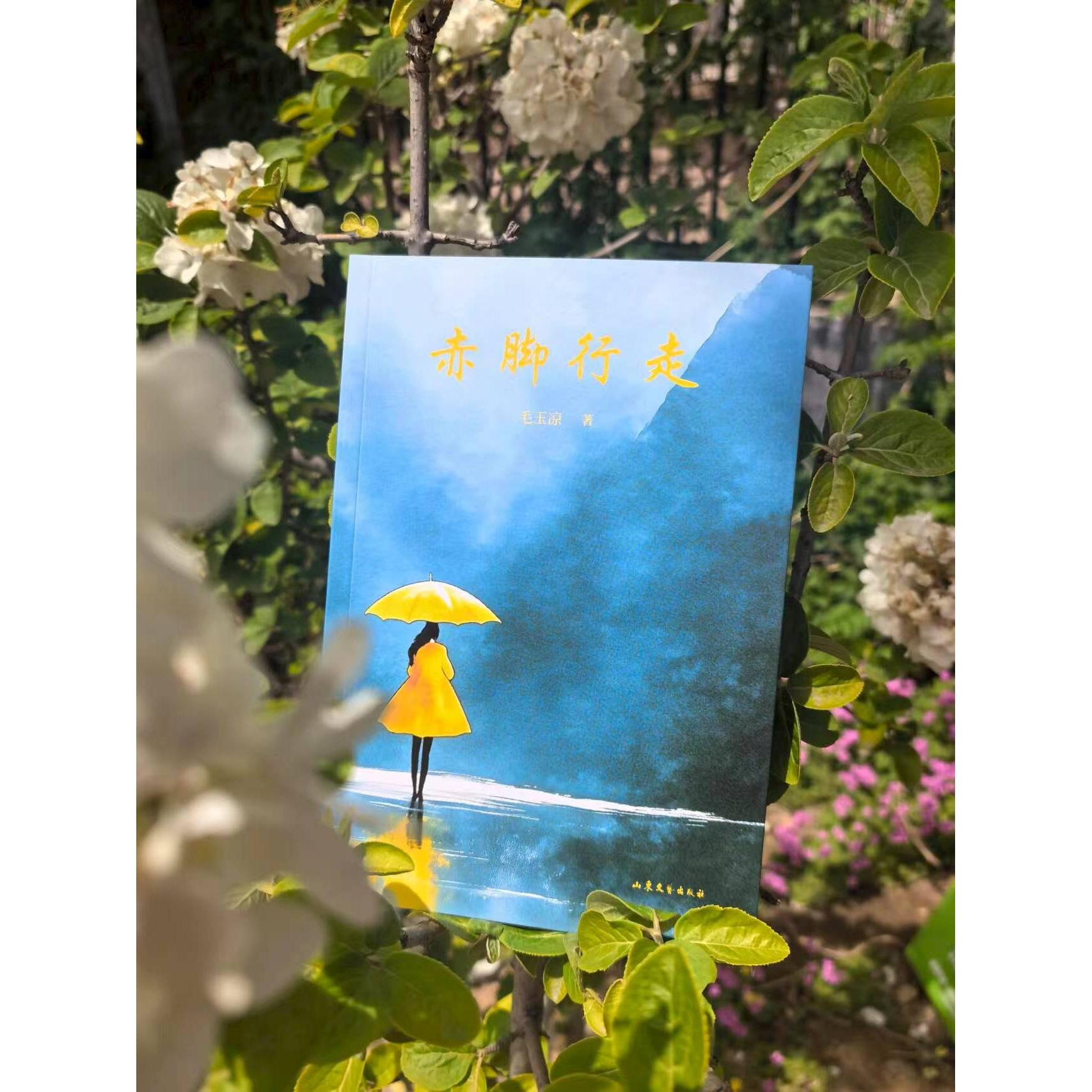 赤脚行走 足部健养 足底穴位按摩 自然行走疗法 慢生活指南 减压放松技巧 心灵疗愈方式 传统养生智慧 9787532976133