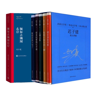 邓东山 浙江文艺 迟子建散文典藏共6册 谢园园 朱立 责编 额尔古纳河右岸 迟子建 9787533963606 正版 丁辉 包邮