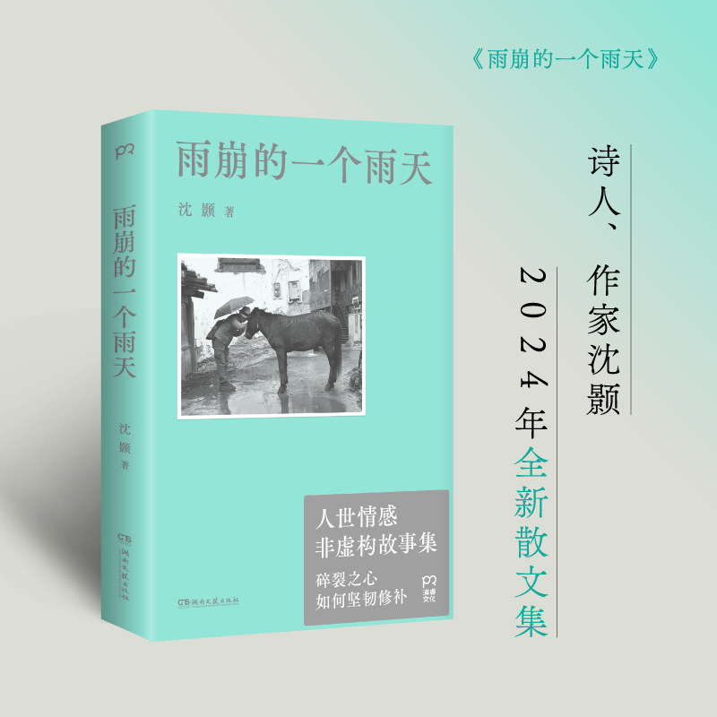 雨崩的一个雨天 旅行攻略 雪山徒步 摄影画册 经典文学 自然探索 心灵治愈 人文记录 雨季指南9787572620805