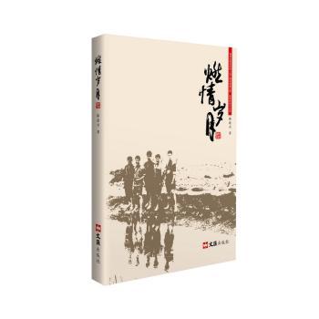 燃情岁月 青少年成长 真实励志故事 经典文学作品 精装插图版 ISBN9787549616534