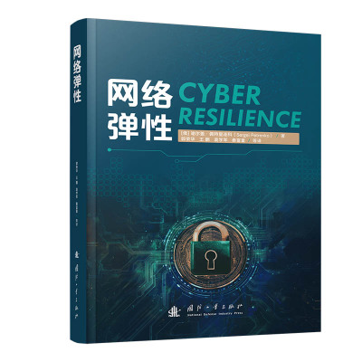 正版包邮 网络弹 (俄罗斯) 谢尔盖·佩特里连科著 9787118141146 国防工业出版社