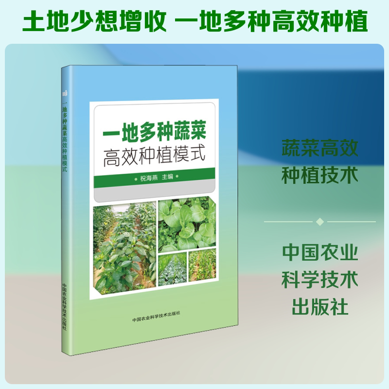 一地多种蔬菜种植模式 一地多种蔬菜 种植模式 间作套种技术 立体种植方法 蔬菜搭配方案 高产种植技巧 9787511646712