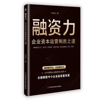正版包邮 融资力:企业资本运营制胜之道 付宏恩著 9787571724771 河北科学技术出版社