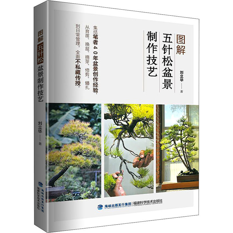 图解五针松盆景制作技艺 五针松盆景 制作技艺 图解教程 新手入门 造型设计 步骤详解 养护技巧 工具选择 9787533565589