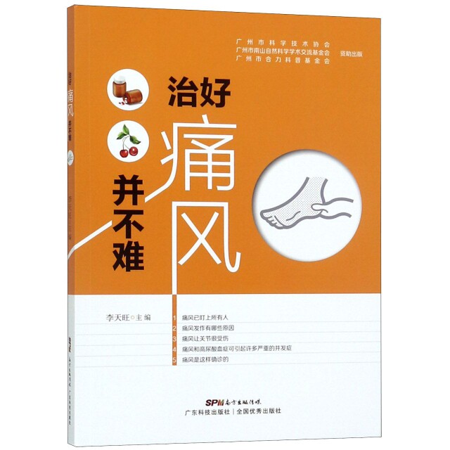 治好痛风并不难 痛风治疗方法 科学饮食调理 日常护理指南 痛风康复案例 中医调理方法 西医防治技巧 实用食疗方 9787535970930
