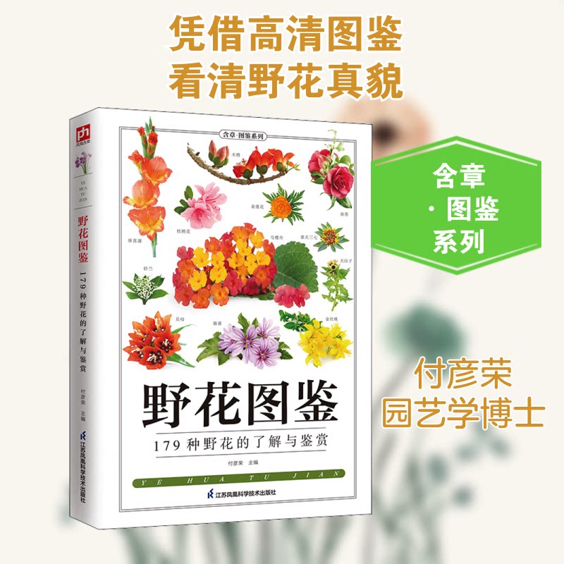 野花图鉴 野花识别指南 高清实拍图鉴 植物种类解析 自然科普读物 户外摄影素材 亲子自然教育 花期分布详解 9787553757537