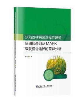 正版包邮 水稻纹枯病菌选择侵染早期转录组及MAPK级联信号途径的差异分析 杨系玲, 著 9787576718188 哈尔滨工业大学出版社