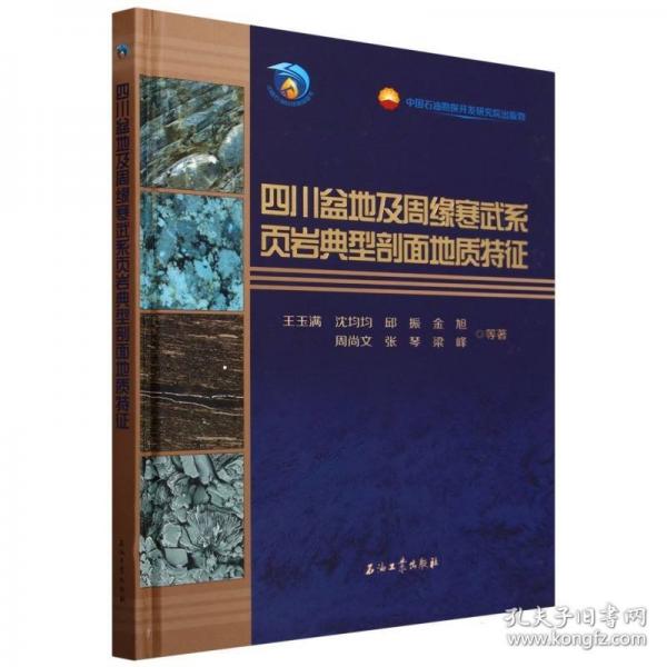 正版包邮 四川盆地及周缘寒武系页岩典型剖面地质特征 王玉满 ... 等著 9787518363216 石油工业出版社