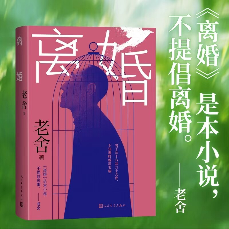 离婚 婚姻心理 情感解析 心理学视角 人洞察 经典案例 社会现象 人物成长 深度剖析 现实题材9787020193615