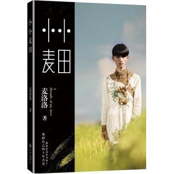 正版包邮 小小麦田 麦洛洛著 9787510832208 九州出版社