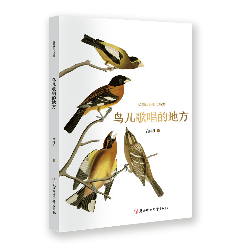 鸟儿歌唱的地方 子读 自然观察 鸟类故事 森林生态 生态文学 科普读物 提升认知 自然美学 手绘插画 经典案例9787558573187