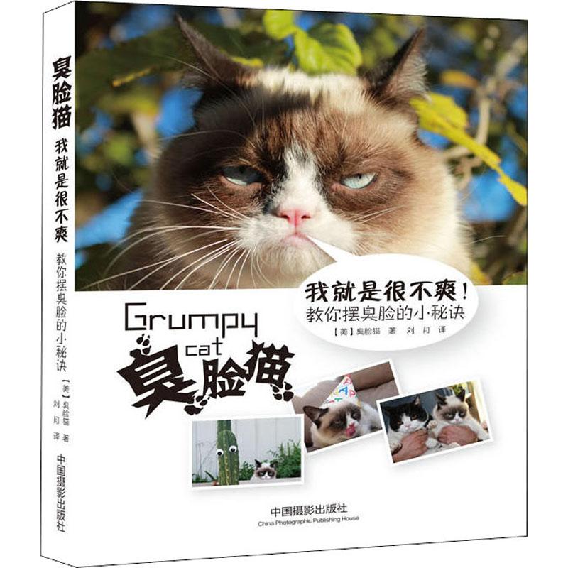 臭脸猫我就是很不爽：教你摆臭脸的小秘诀 职场利器 社交达人 情绪管理 摆臭脸技巧 幽默化解 个表达9787517900474