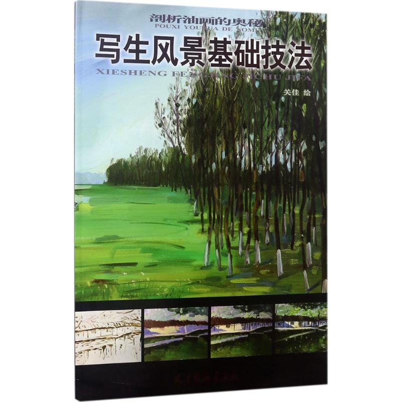 写生风景基础技法/剖析油画的奥秘 风景写生基础 油画技法详解 入门教程 步骤教学 色彩构图 全彩插图 大师作品 9787554707395