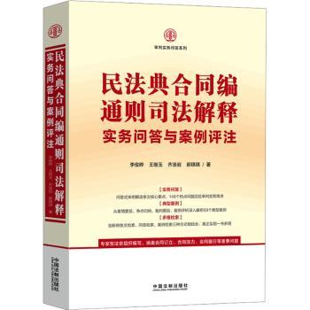 民法典合同编通则司法解释实务问与例评注 合同编解读 司法解释 实务问 例评注 企业法务 法律学生 9787521633238