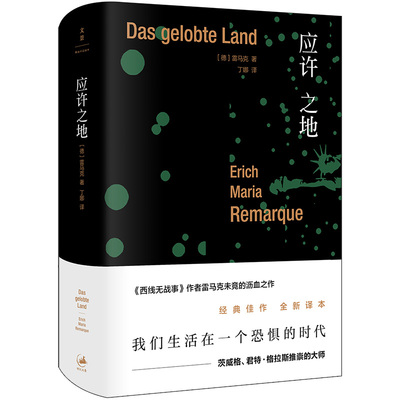 正版包邮 应许之地 (德) 埃里希·玛丽亚·雷马克(Erich Maria Remarque) 著 ; 丁娜译. 9787208144125 上海人民