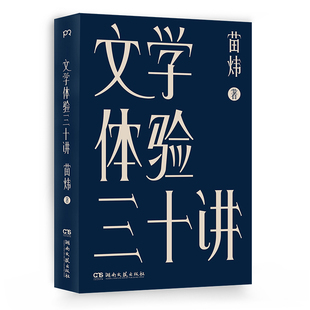 苗炜 文学体验三十讲 责编 刘雪琳 湖南文艺 正版 9787540498436 包邮
