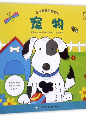 正版新书 捉迷藏触感翻翻书 英国Igloo Books图书公司 著;鑫杰源 译 9787549356669 江西高校出版社