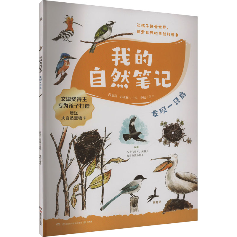 正版包邮 我的自然笔记 发现一只鸟 李航 著 芮东莉,吕永林 编 9787571004743 湖南科学技术出版社