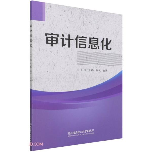 审计信息化 审计信息化教程 审计信息化案例 审计信息化方法 审计信息化工具 审计效率提升 数字化审计技能 9787568292887