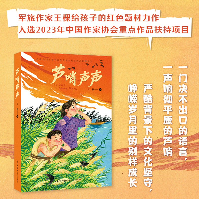 芦哨声声 民俗文化 传统技艺 非遗传承 声音美学 生活智慧 经典案例 自然之声 童年回忆 乡音记忆9787570234813