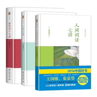 正版包邮 人间词话七讲+小词大雅+唐宋词十七讲共3册 叶嘉莹 9787301285541 北京大学