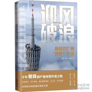广州 社 花城出版 罗丽 包邮 迎风破浪 张霖 实录 智造 9787536095250 正版 官场 吴海榕 职场小说