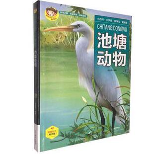 包邮 辽宁美术出版 池塘动物 9787531488149 社 段依萍编著 正版
