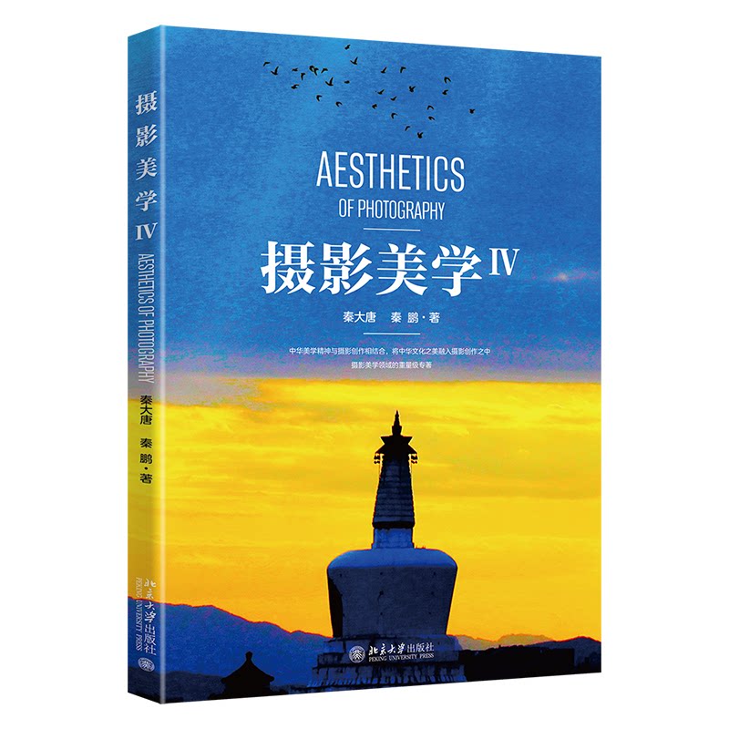 摄影美学 提升审美力 构图技巧 光影运用 色彩搭配 经典案例 全彩印刷 专业解析 实战指南 艺术鉴赏9787301358290