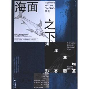 美 海面之下 包郵 海峽書局 尼森著 9787556711857 托馬斯·M. 正版