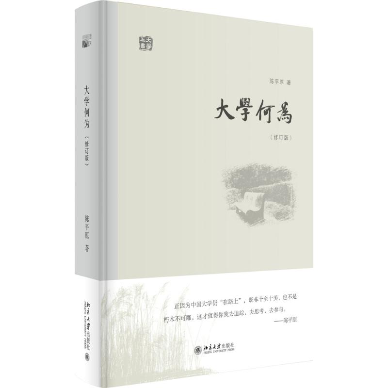 大学何为(修订版) 大学教育意义 高等教育价值 修订版再版 解读 教育理念探讨 学生成长指南 大学使命解析 9787301263563