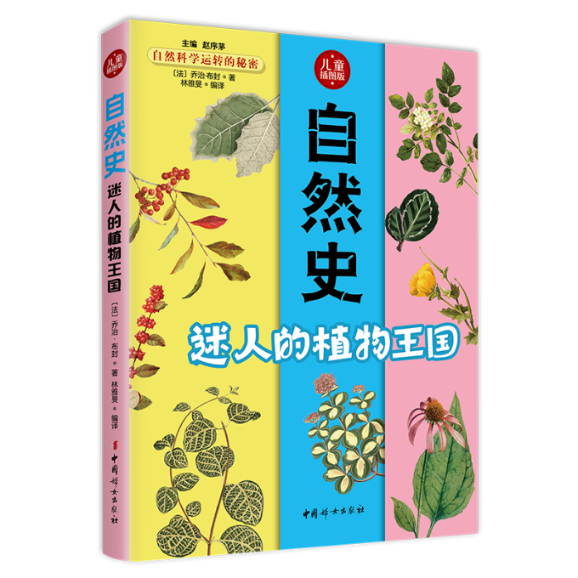 正版包邮 自然史.迷人的植物王国 林雅旻 9787512717633 中国妇女出版社
