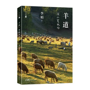 包邮 9787574900752 羊道深山夏牧场 李娟 花城 大字版 正版