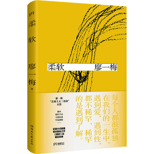 正版包邮 柔软 廖一梅 著  浦睿文化 出品 9787540480998 湖南文艺出版社